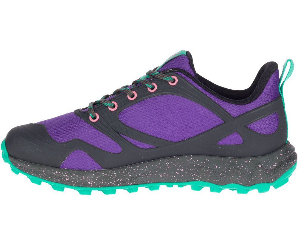 Merrell Hiking Shoes Purple/Black - Altalight - Womens 93CMRJTKQ